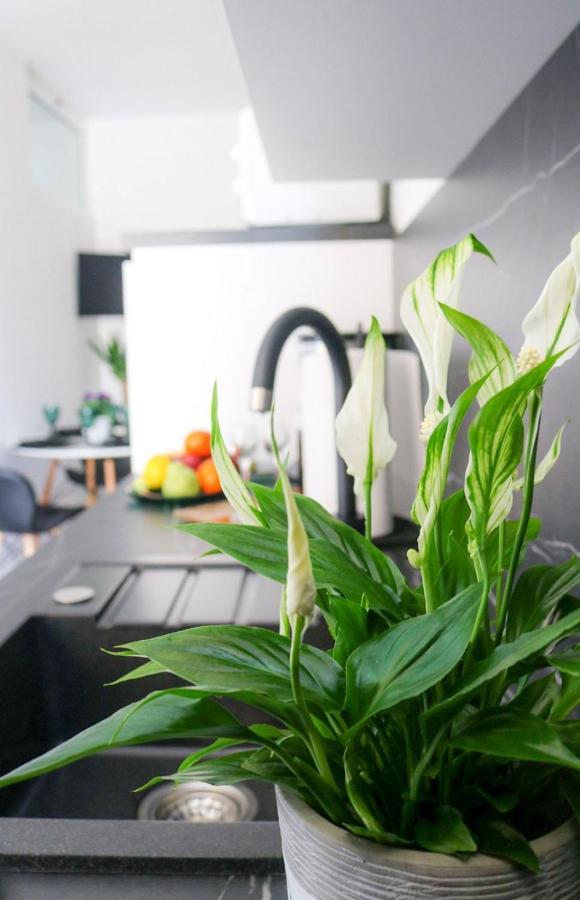 Cosmo Apartment Dubrovnik Kültér fotó